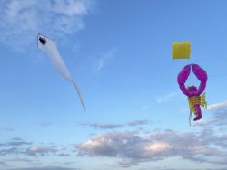 HuttoftAugust2025-026