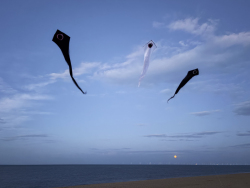 HuttoftAugust2025-028