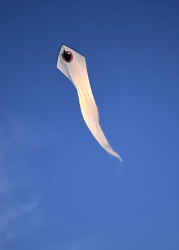 HuttoftAugust2025-029