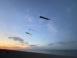 HuttoftAugust2025-030