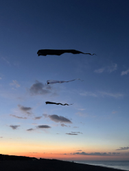 HuttoftAugust2025-031