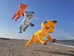 HuttoftAugust2025-035