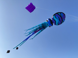 HuttoftAugust2025-037