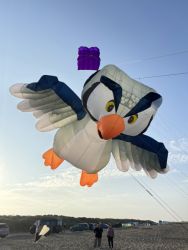 HuttoftAugust2025-041