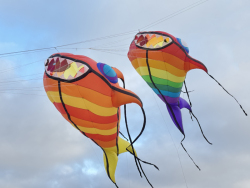 HuttoftAugust2025-047