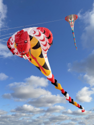 HuttoftAugust2025-051