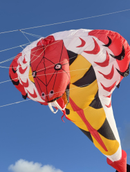 HuttoftAugust2025-052