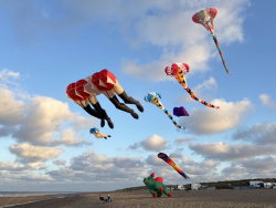 HuttoftAugust2025-061