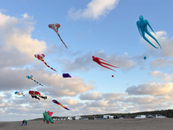 HuttoftAugust2025-062