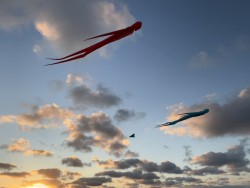 HuttoftAugust2025-065