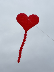 HuttoftAugust2025-068