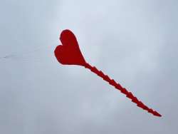 HuttoftAugust2025-069