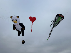 HuttoftAugust2025-075