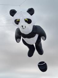 HuttoftAugust2025-095