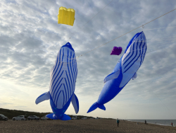 HuttoftAugust2025-099