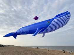 HuttoftAugust2025-100