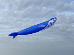 HuttoftAugust2025-101