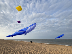 HuttoftAugust2025-102