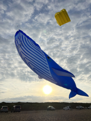 HuttoftAugust2025-103