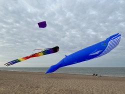 HuttoftAugust2025-104