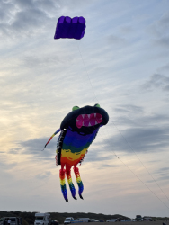 HuttoftAugust2025-105