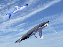 HuttoftAugust2025-109