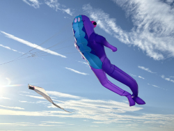 HuttoftAugust2025-114