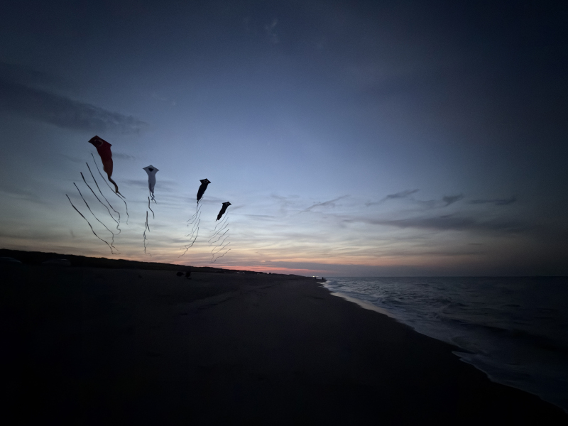 HuttoftAugust2026-068