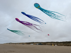 HuttoftAugust2026-041