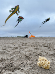 HuttoftJuly2026-022
