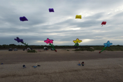 HuttoftJune2024-086.jpg