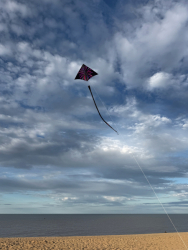 HuttoftJune2026-030