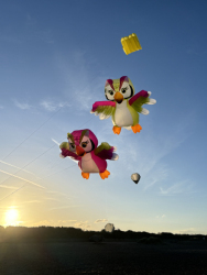 HuttoftMarch2024-020