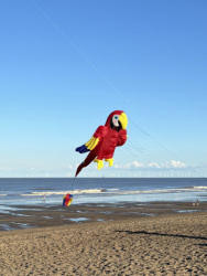HuttoftMarch2024-029