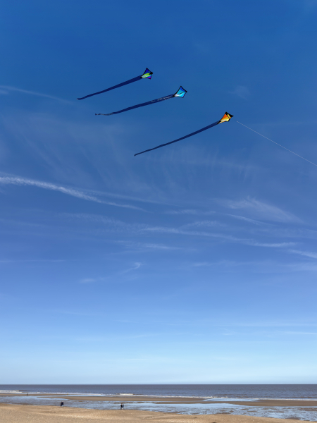 HuttoftMarch2026-031