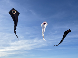 HuttoftMarch2026-005