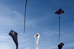 Kite Festivals 2026