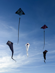 HuttoftMarch2026-006