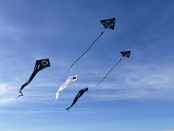 HuttoftMarch2026-007