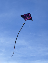 HuttoftMarch2026-008