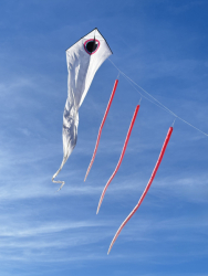 HuttoftMarch2026-010