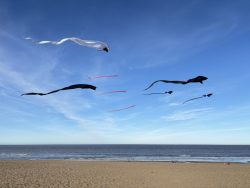 HuttoftMarch2026-011