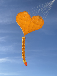 HuttoftMarch2026-013