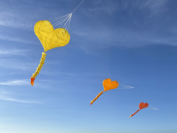 HuttoftMarch2026-015