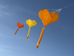 HuttoftMarch2026-020