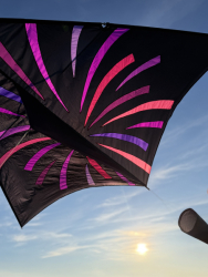 HuttoftMarch2026-022