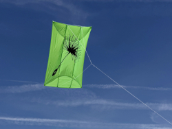 HuttoftMarch2026-027