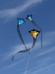 HuttoftMarch2026-028