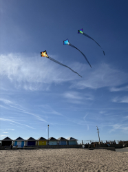 HuttoftMarch2026-029