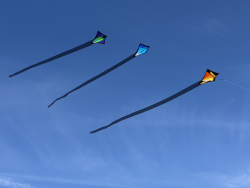 HuttoftMarch2026-030